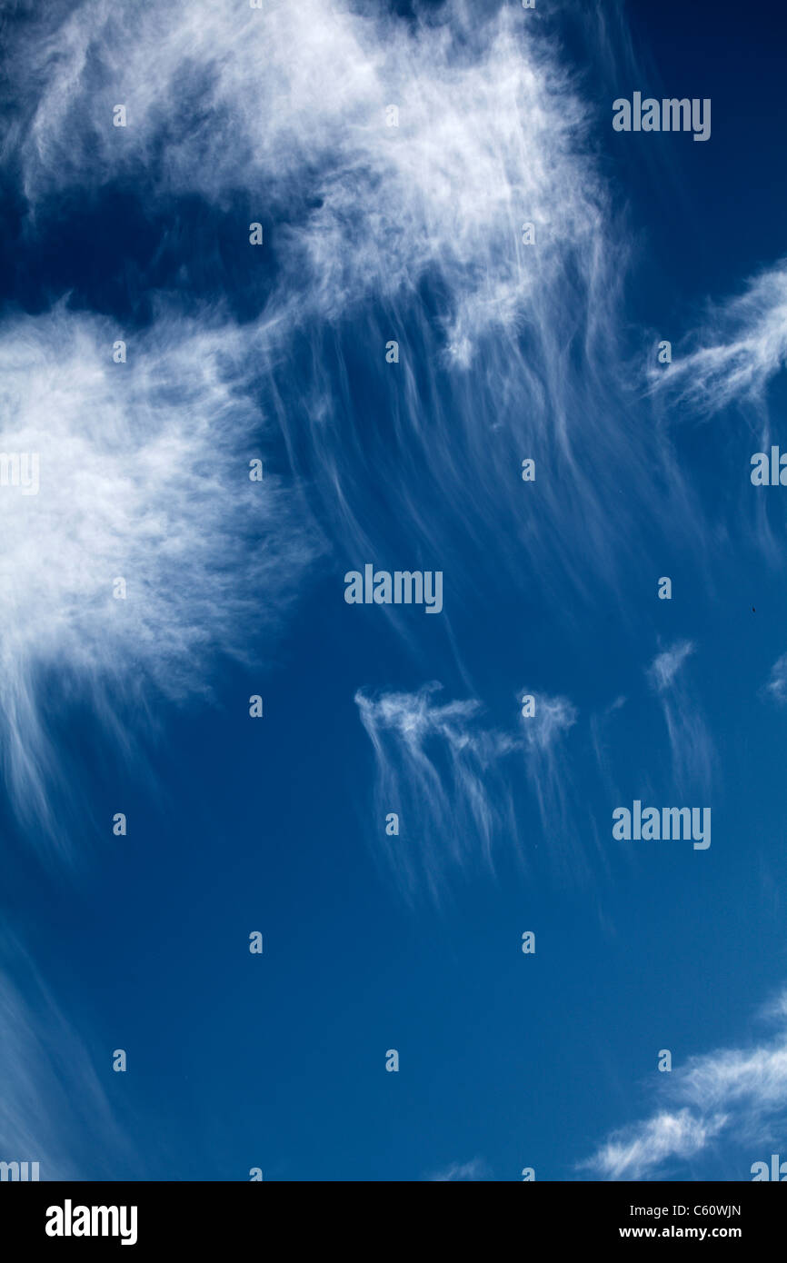 Lunga coda dietro wisps lacunose cirrus nuvole contro un cielo blu. Foto Stock