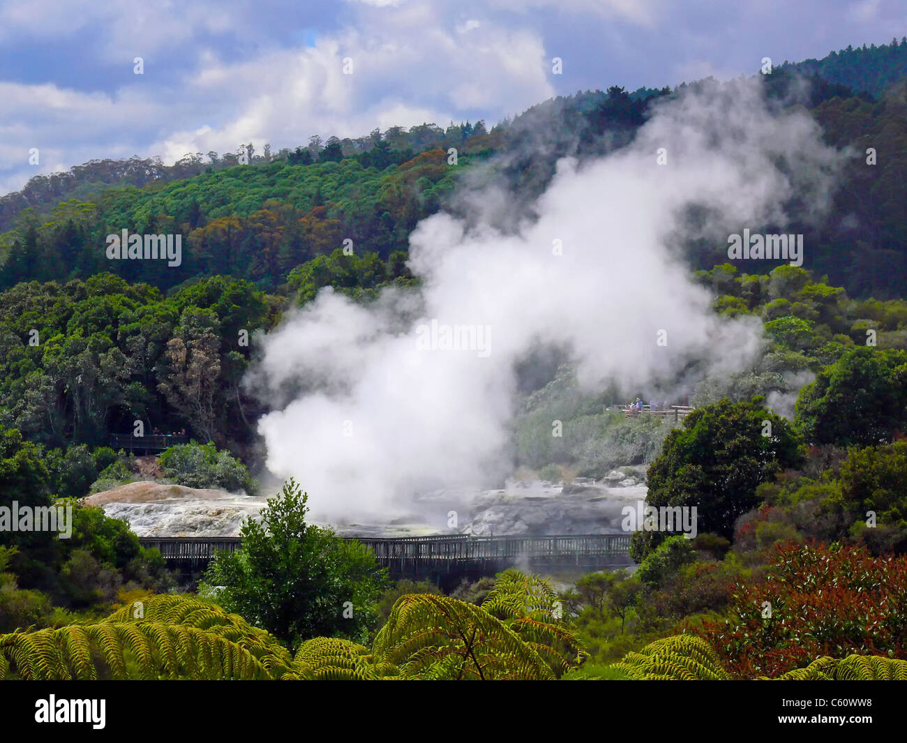 Geyser che erutta, Rotorua, Nuova Zelanda Foto Stock