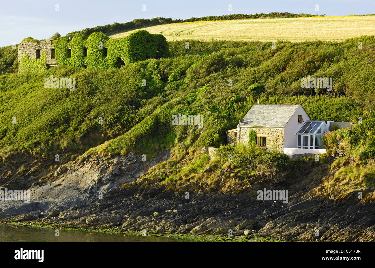 Un vecchio rudere coperto di edera, che si affaccia sul porto di Abercastle, Pembrokeshire, Galles e il lato di una piccola casa per le vacanze. Foto Stock