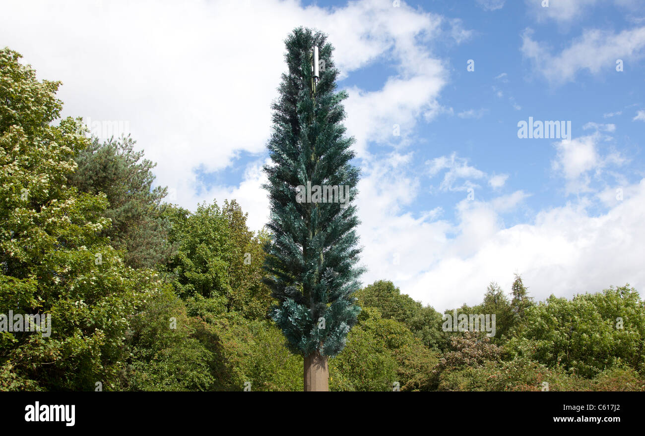 Un telefono cellulare il montante di comunicazioni dissimulata come un albero. Foto Stock