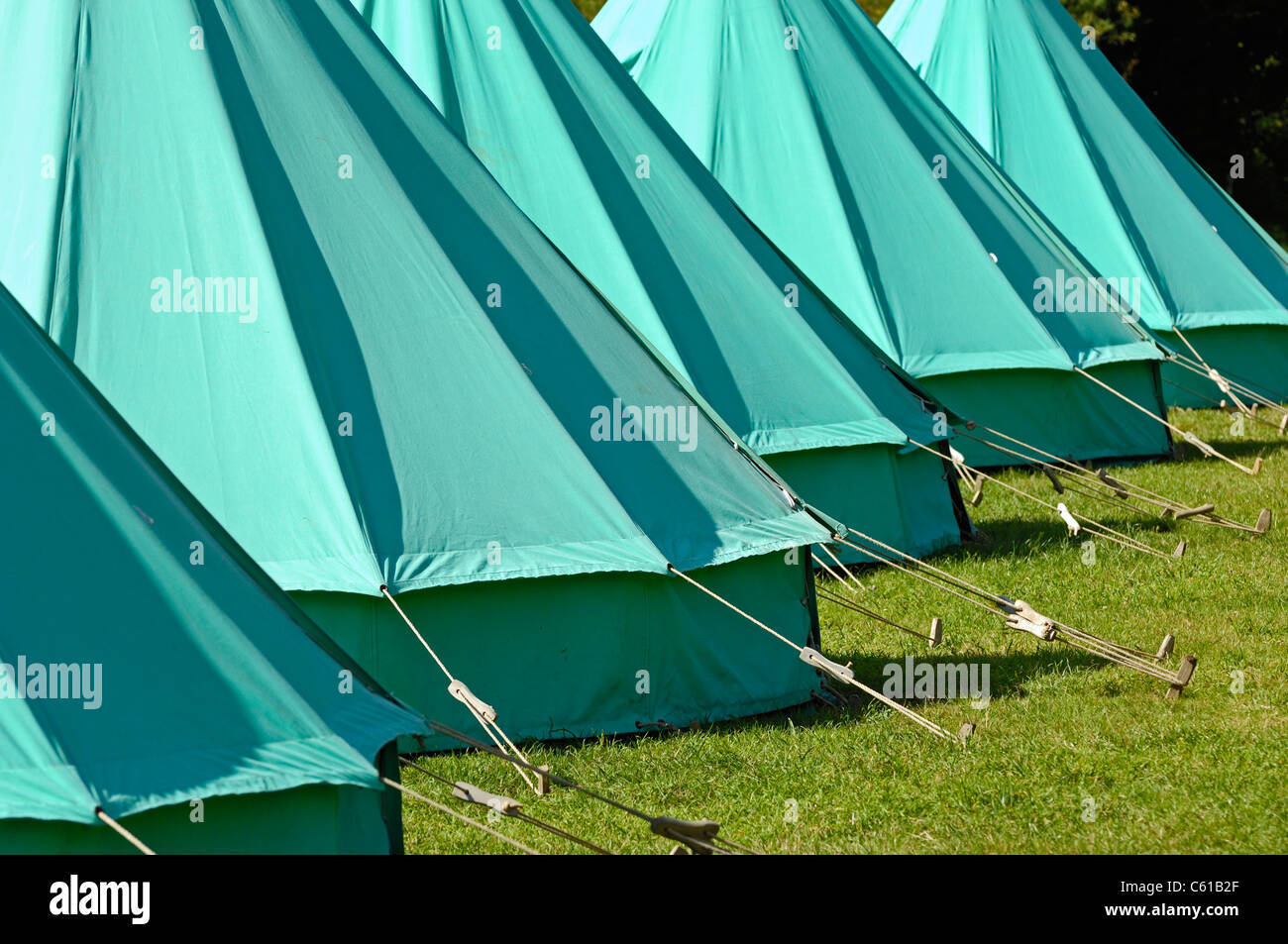 Una fila di campana verde tende realizzate dalla tela pesante e fissata al terreno mediante guide regolabili corde. Foto Stock