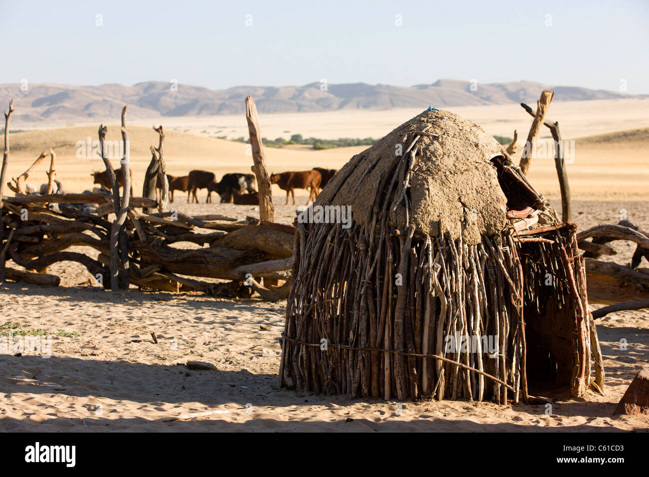 Un tradizionale Himba capanna con pareti in legno. Purros, Northern Kaokoland, Kaokoveld, Namibia. Foto Stock