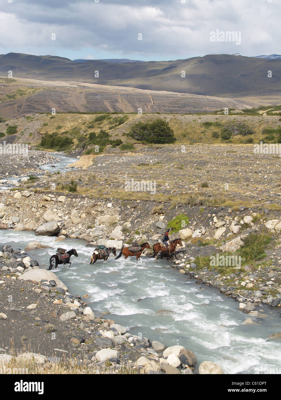 Horse back piloti flusso di attraversamento in Parque Nacional Las Torres del Paine Foto Stock
