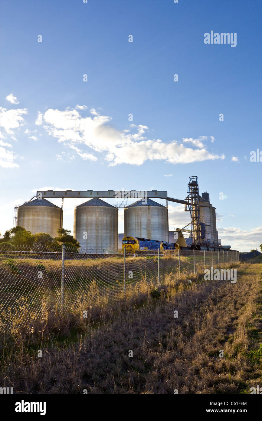 Silos per il grano o ascensori in western NSW, Australia, una maggiore produzione di grano area. Foto Stock