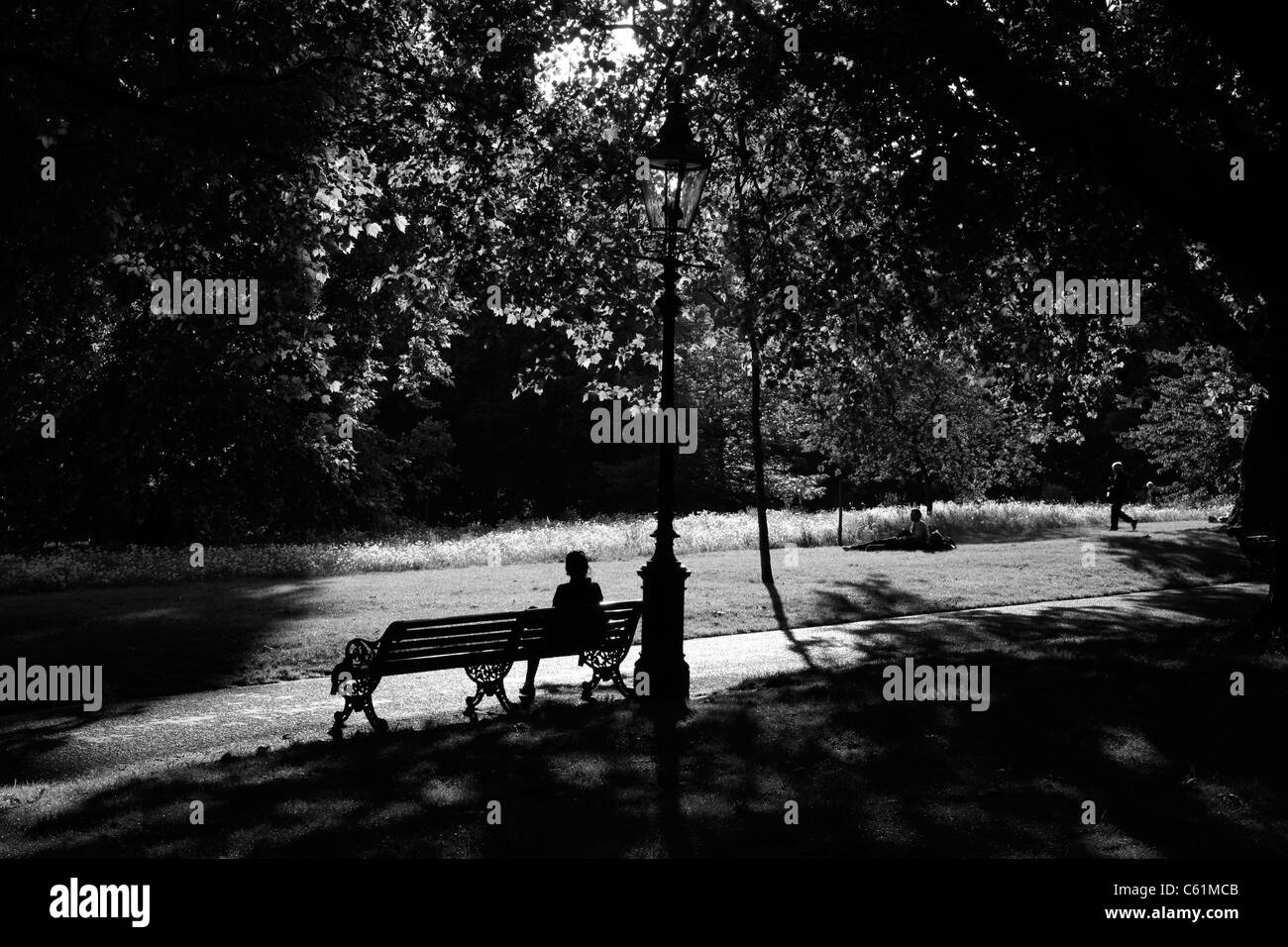 Lanterna e panca sul Broadwalk nel parco verde, St James's, London, Regno Unito Foto Stock