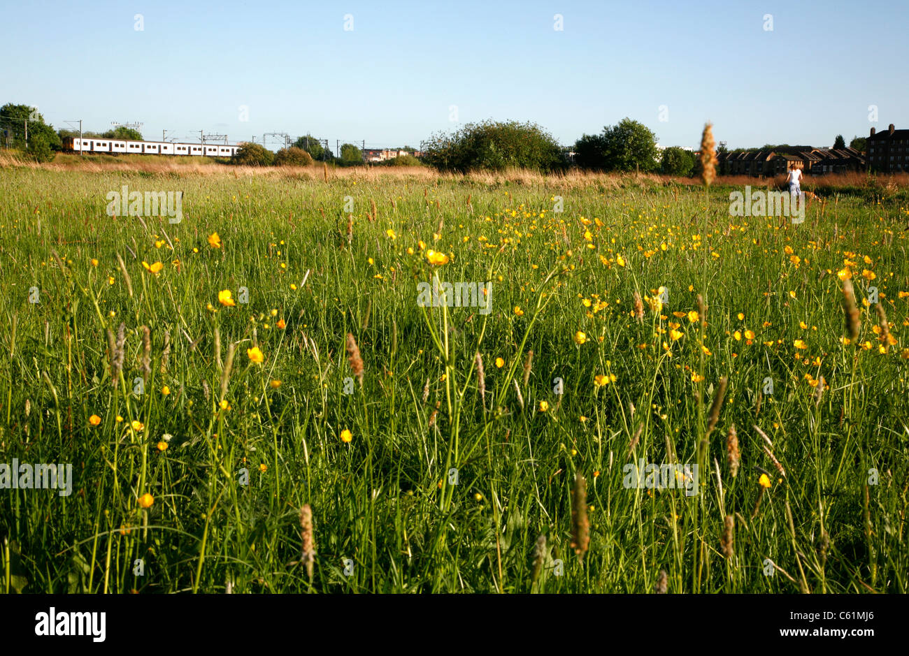 Il treno corre attraverso Walthamstow paludi, Superiore Clapton, London, Regno Unito Foto Stock