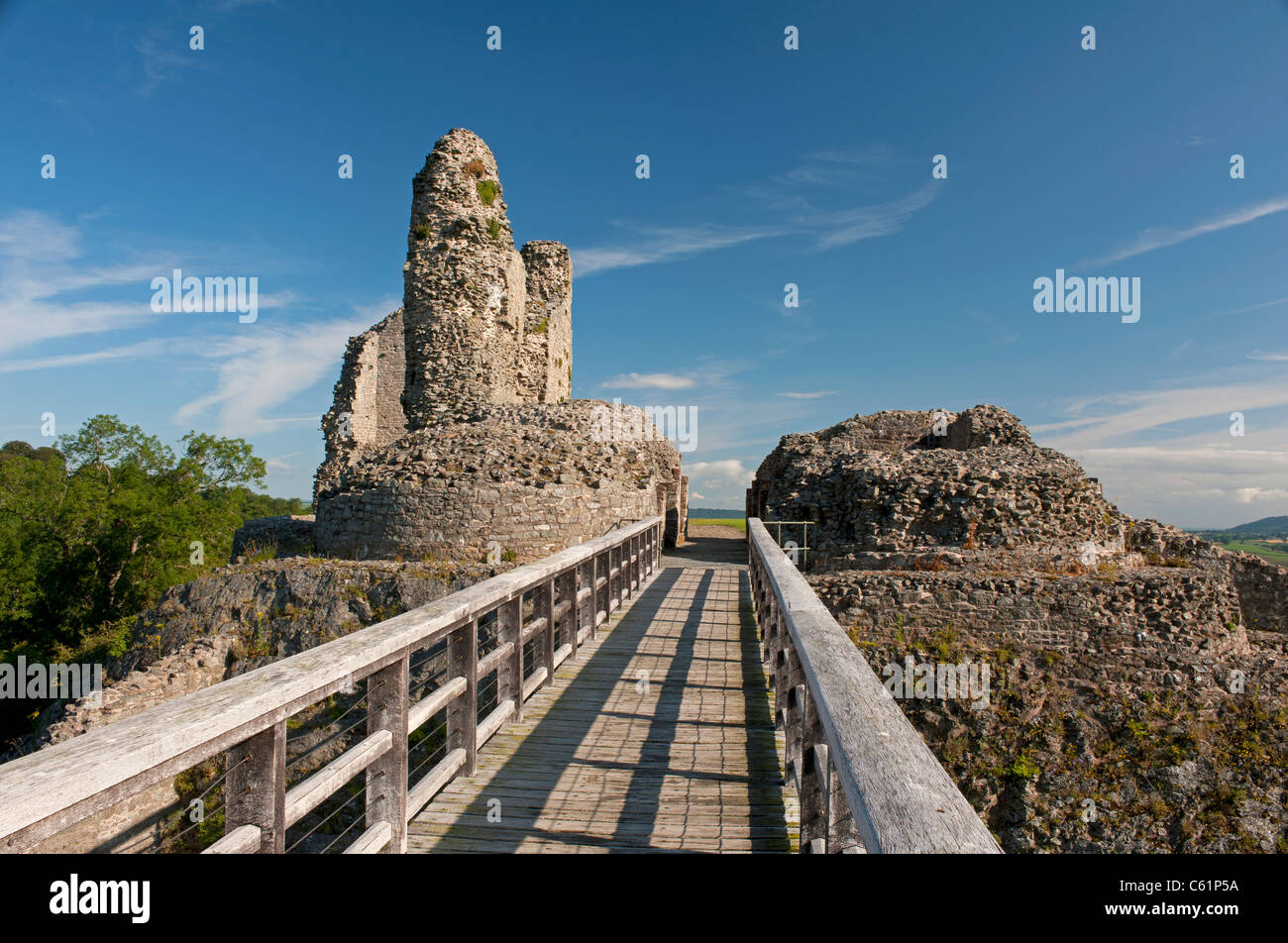 Il XIII secolo il castello di Montgomery rovine, Castle Hill, Powys, metà del Galles, Regno Unito. 7614 SCO Foto Stock