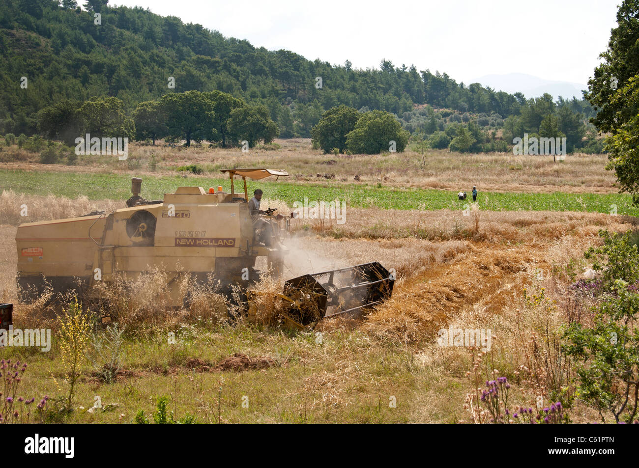Sud Turchia maso contadino raccolto turco tra Kas e Antalya mietitura del grano macchina mietitrebbiatrice Foto Stock