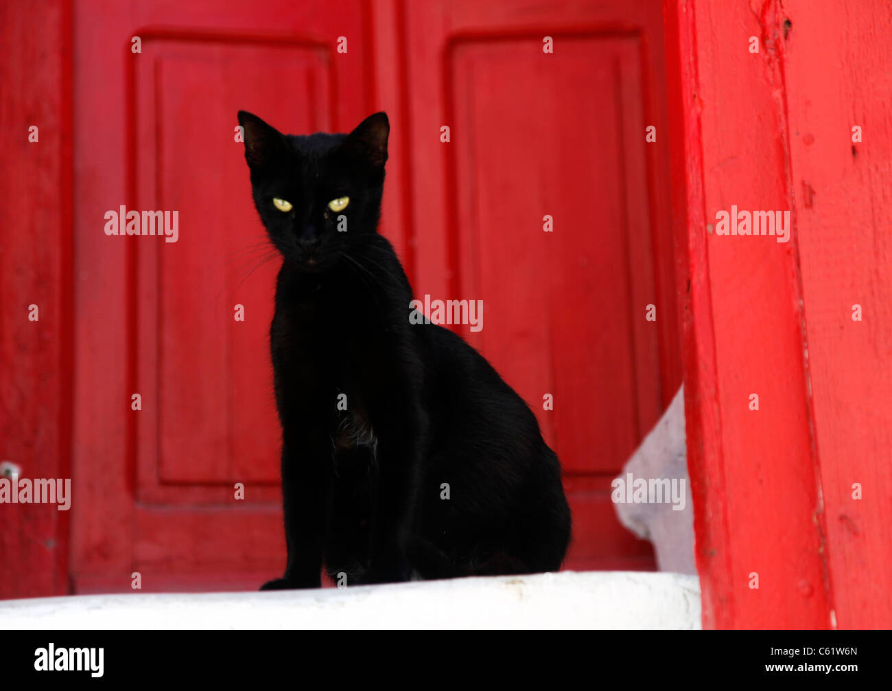 Gatto nero, con gli occhi verdi, seduti nella vecchia città di Mykonos, isola greca, di fronte ad una porta rossa, su una scala di colore bianco. Foto Stock