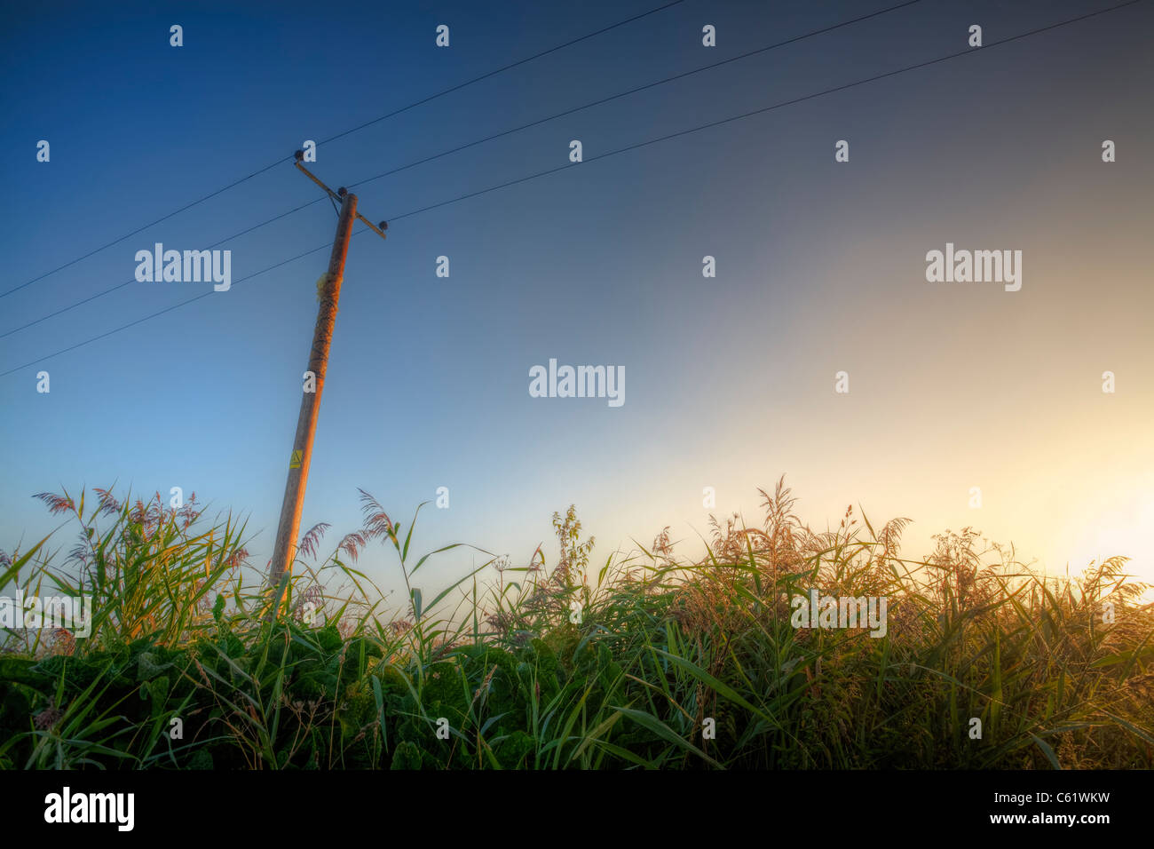 Luminose sunrise nel wide-open skies del Norfolk Fens. Foto Stock