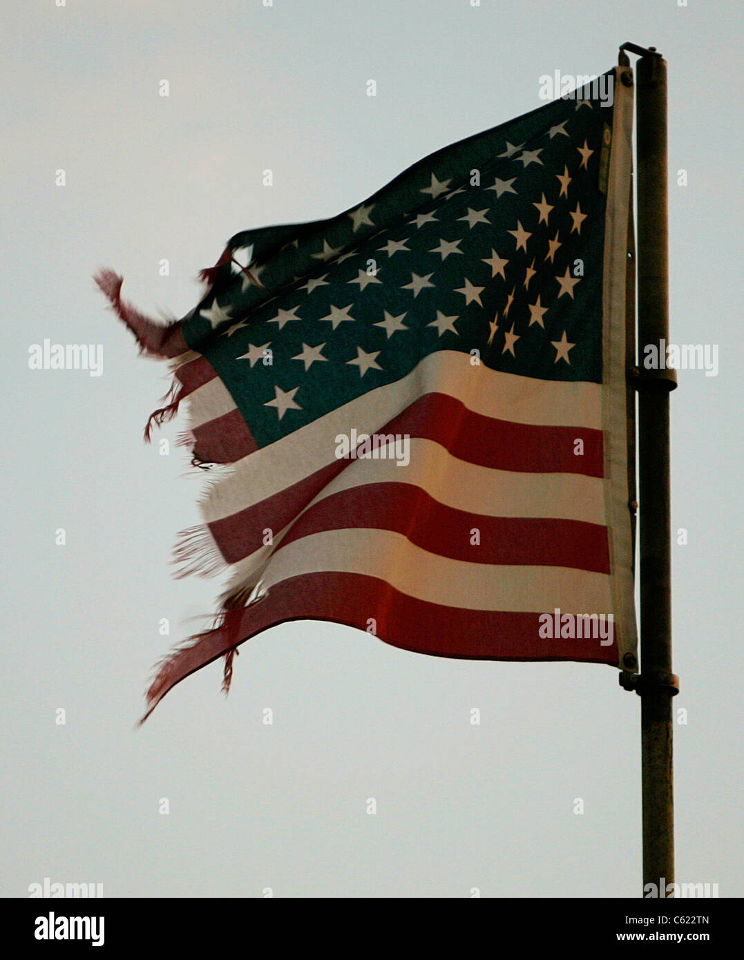 Strappato strappato strappato bandiera americana USA battente vecchia gloria star lamas banner Foto Stock