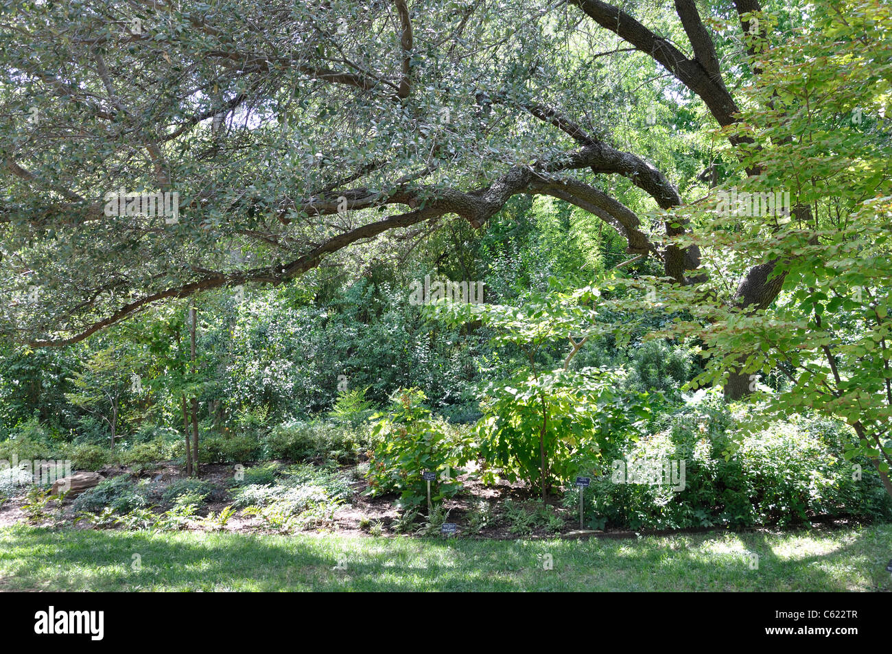 Giardino botanico, Fort Worth, Texas, Stati Uniti d'America Foto Stock