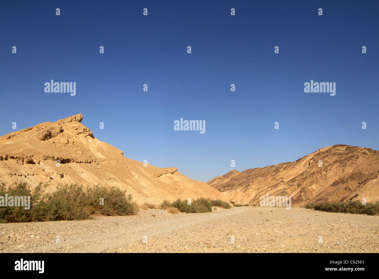 Israele, Wadi Paran nel Negev Foto Stock