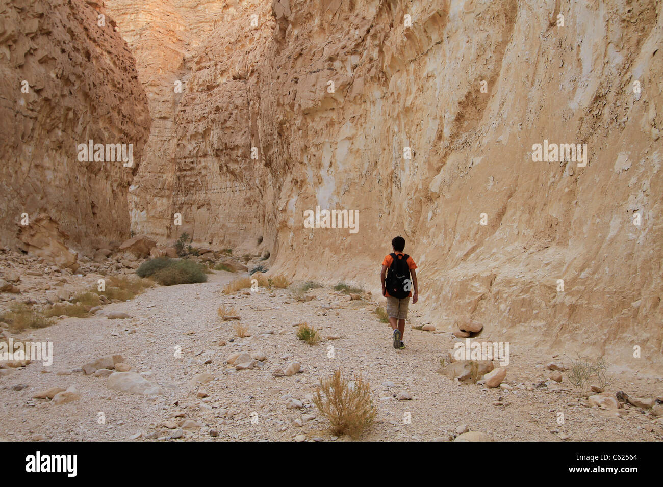 Israele, Vardit Canyon nel Negev Foto Stock