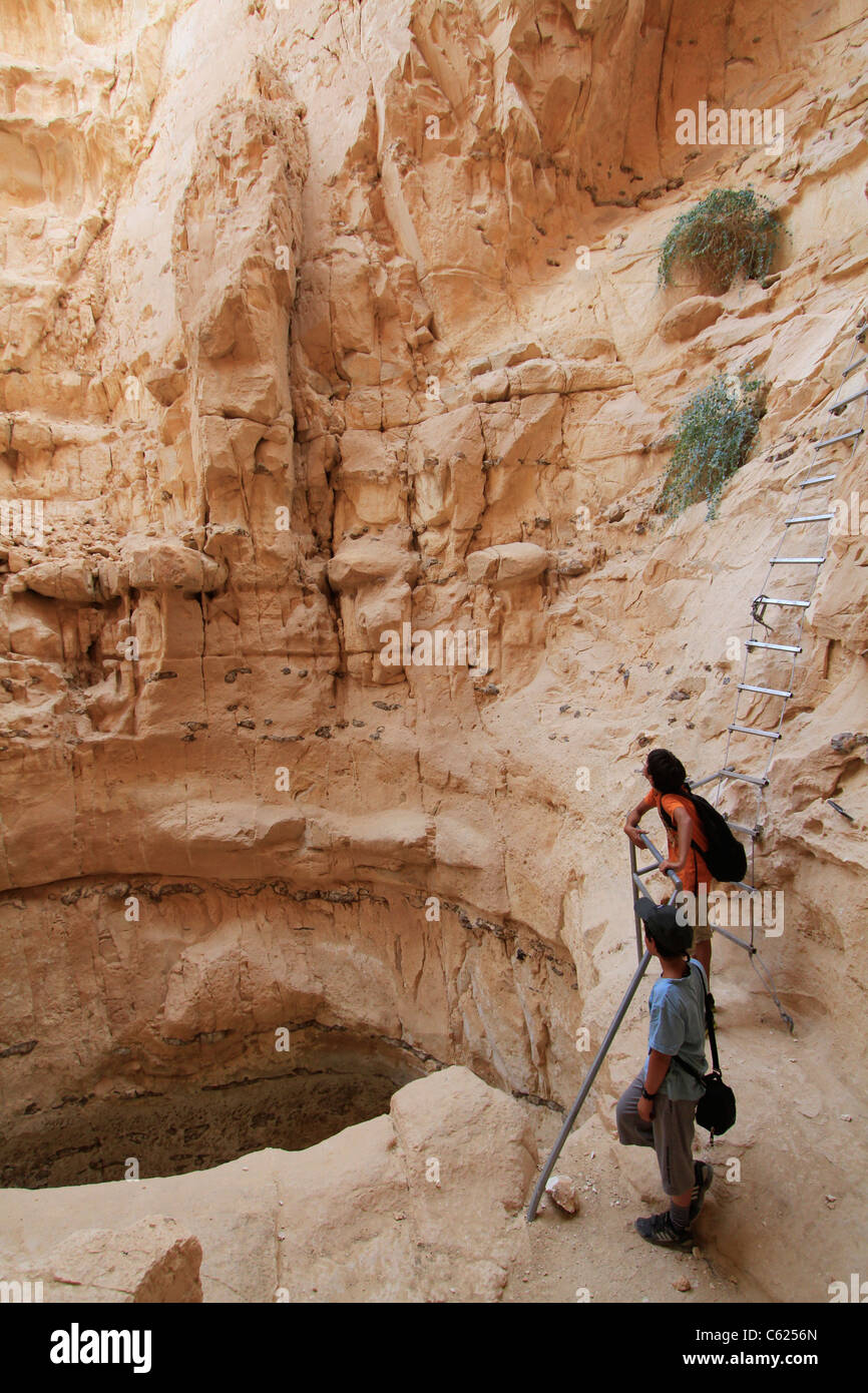 Israele, Vardit Canyon nel Negev Foto Stock