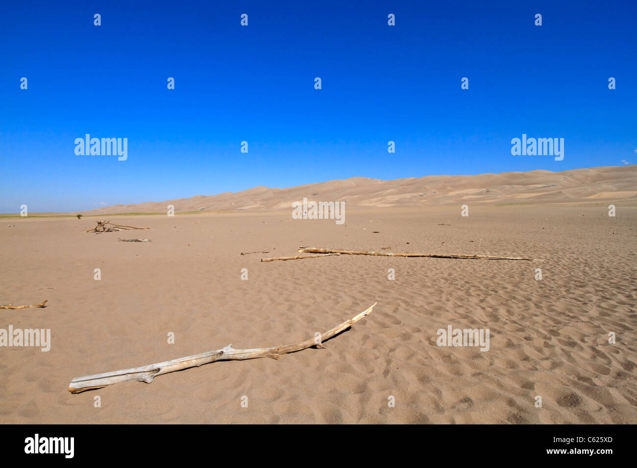 Great Sand Dunes National Park, Colorado. Gli escursionisti attraversa la piana del foglio di sabbia che circonda il dunefield. Foto Stock
