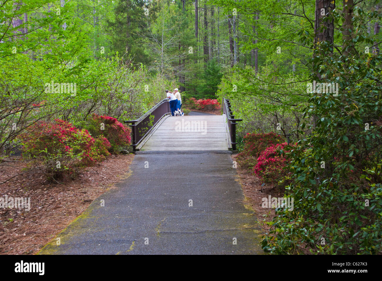 Giardino di scena a 'Azalea Bowl' area di Callaway Gardens i Foto Stock