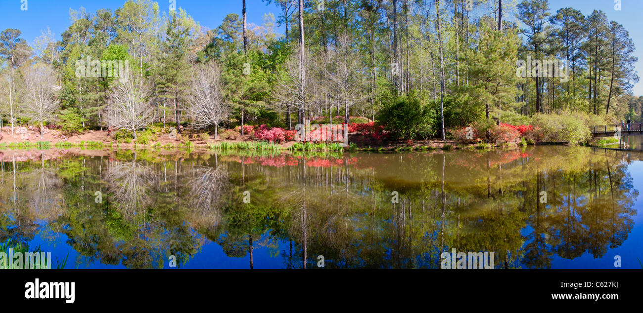 Vista panoramica del 'Azalea Bowl' e del lago in una splendida giornata di aprile a Callaway Gardens in Pine Mountain, Georgia. Foto Stock