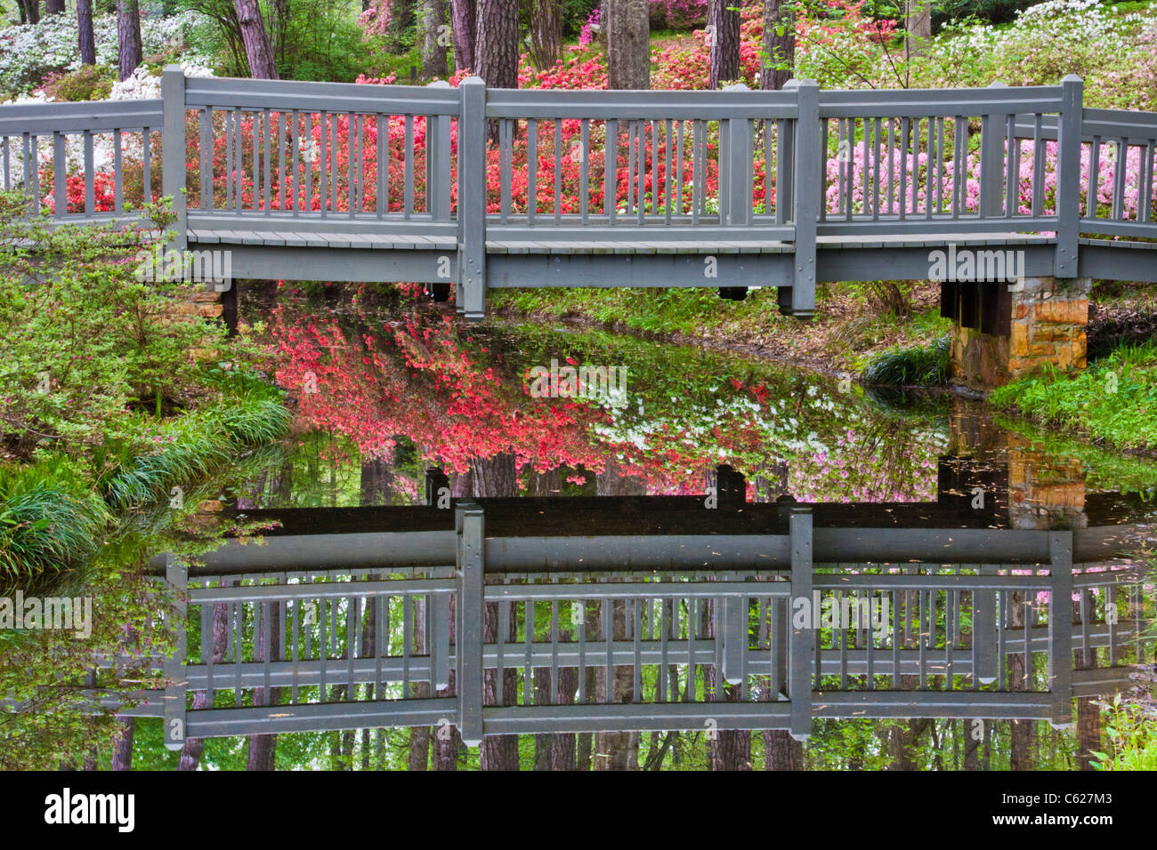 Ponte con riflessioni di Azalea si affacciano sul giardino a Callaway Gardens in legno di pino di montagna, Georgia. Foto Stock