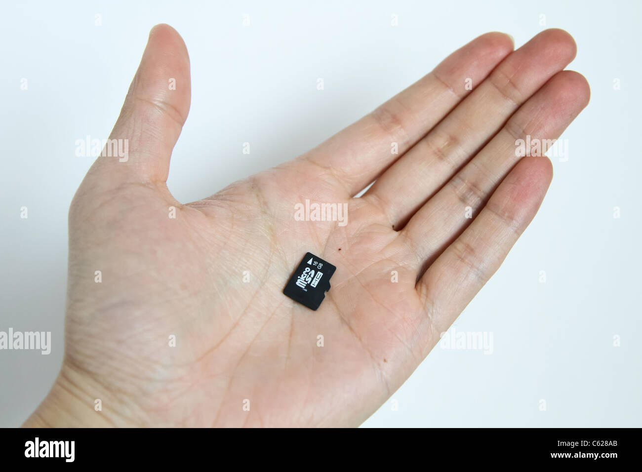 Piccolo piccolo chip di memoria scheda micro SD' Foto Stock