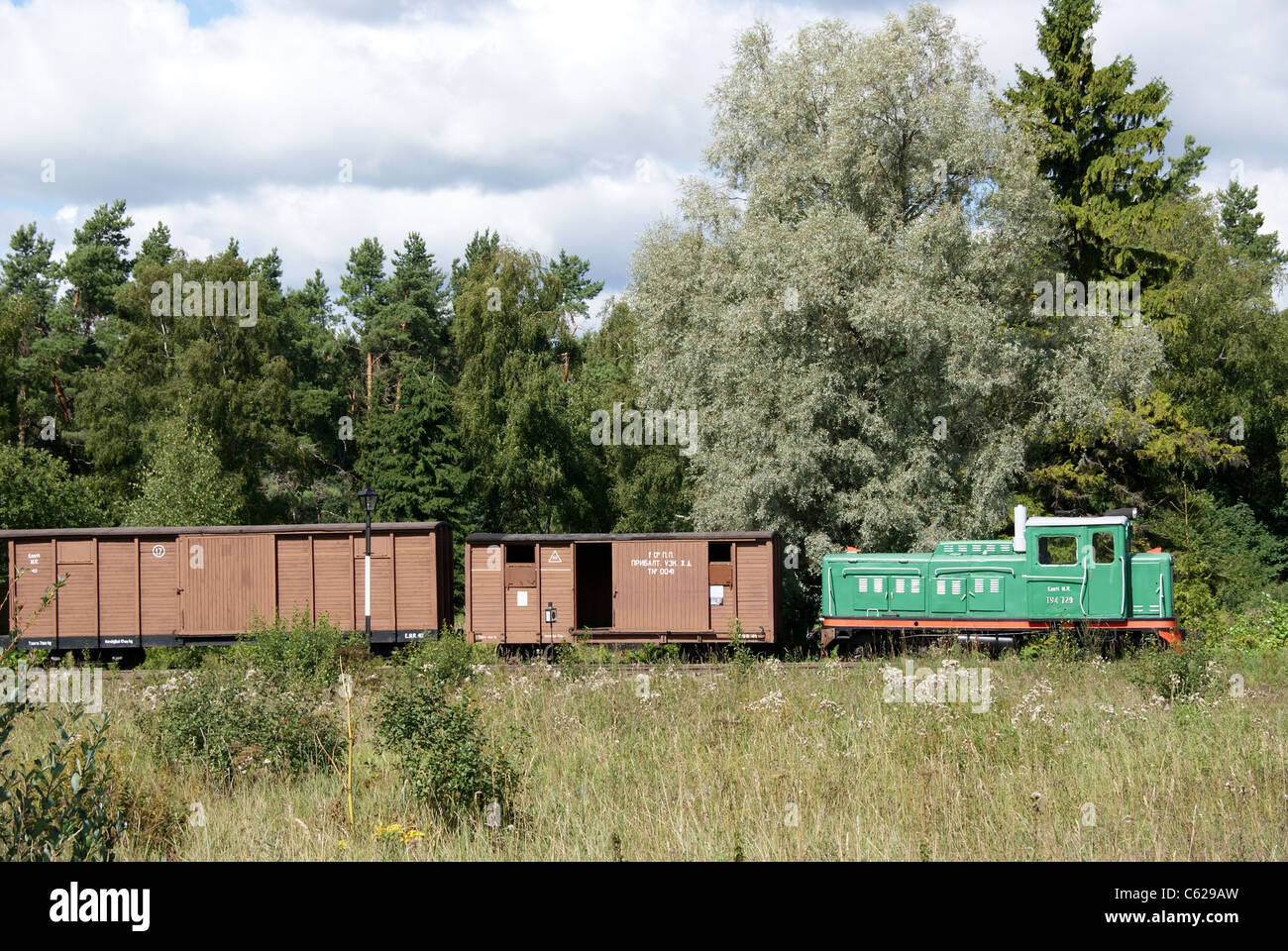 Treno merci Foto Stock