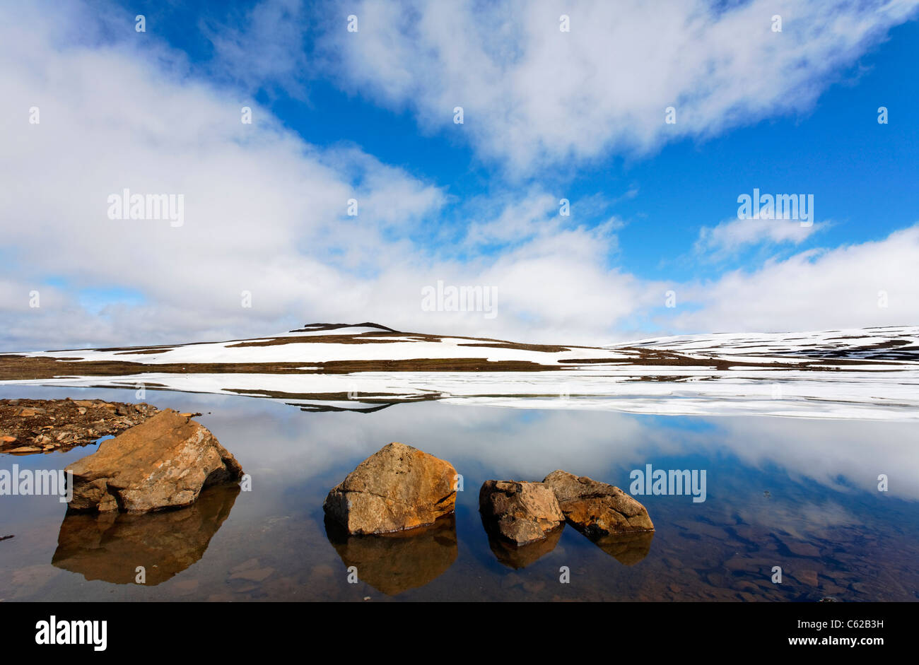 Ghiaccio e riflessioni in un lago, Fiordi Orientali, Islanda Foto Stock