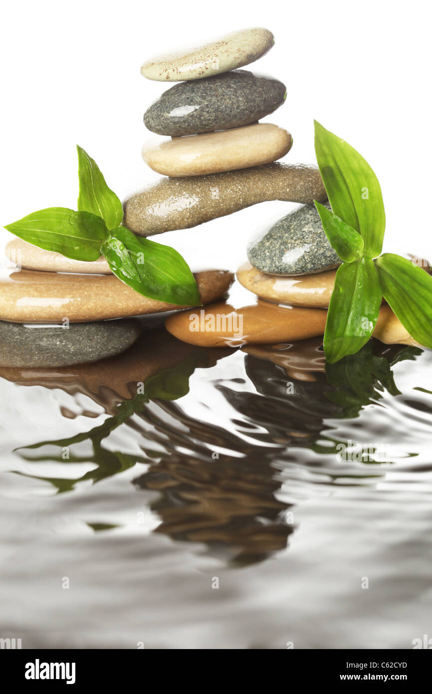 Le pietre in acqua con foglie Foto Stock