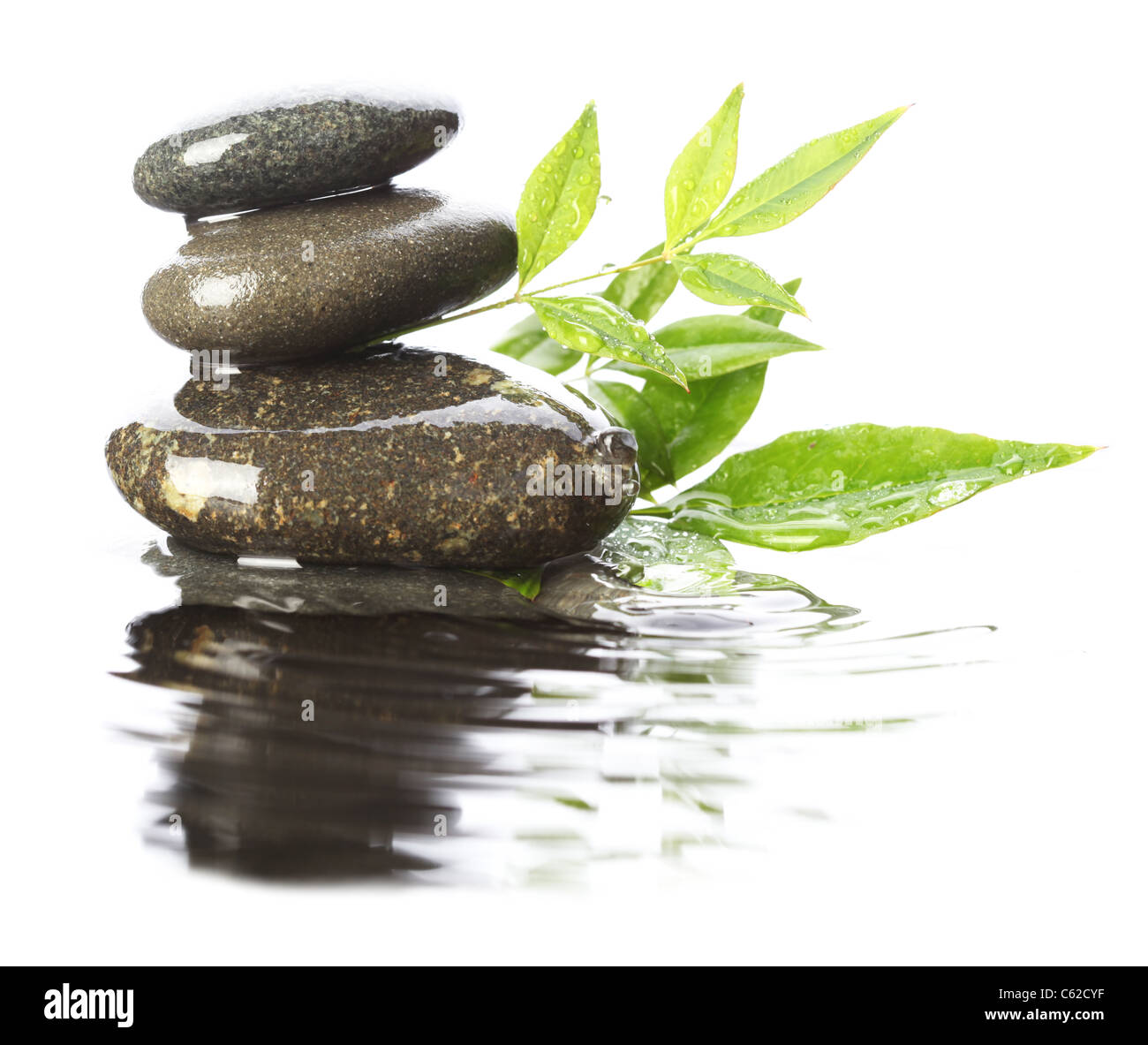 Le pietre in acqua con foglie Foto Stock