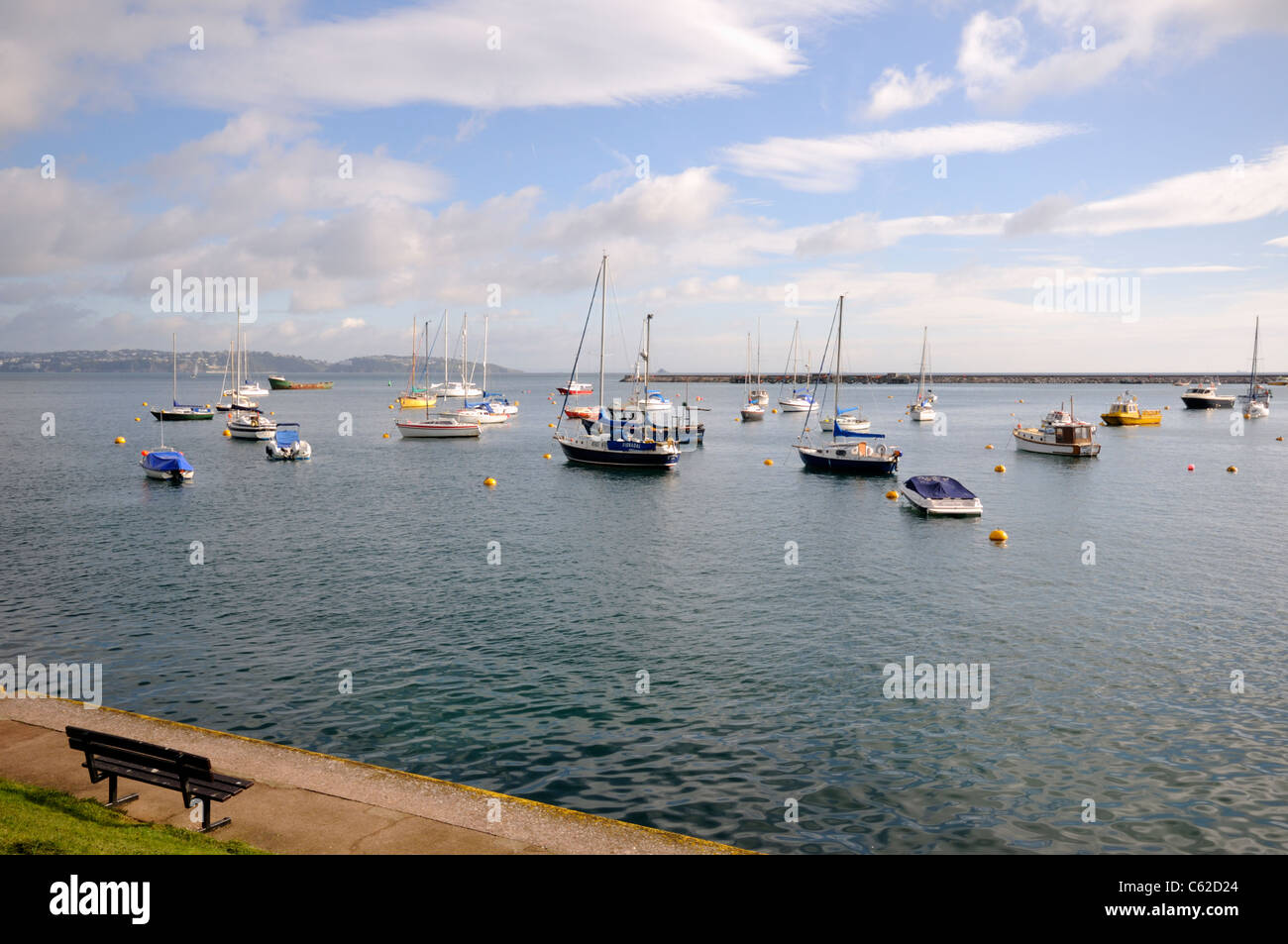 Brixham porto esterno in Devon Foto Stock