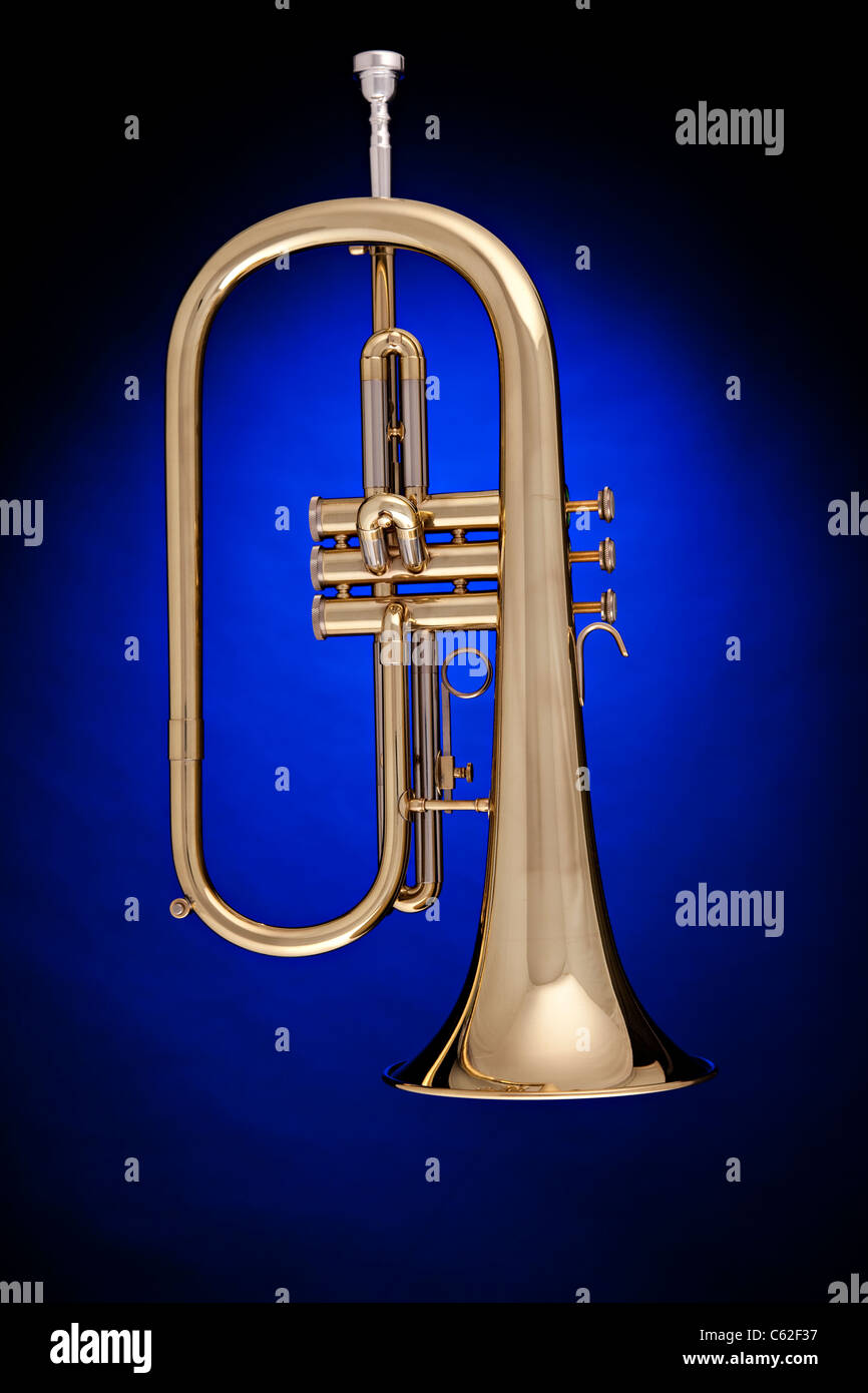 Un oro ottoni tromba flicorno o flugalhorn isolata contro un faretto sfondo blu. Foto Stock