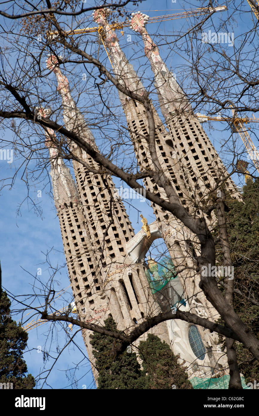 La Sagrada Familia di Gaudi architettura della chiesa, Barcellona Catalunya. Spagna europa Foto Stock