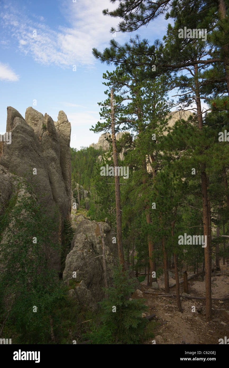 Le Black Hills danno il benvenuto in South Dakota SD Needles Highway Custer State Park National Forest foto in vendita su Alamy verticale negli USA US ad alta risoluzione Foto Stock