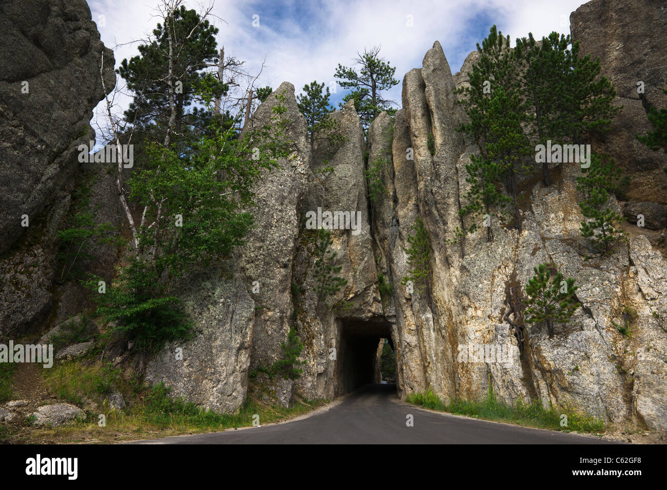 Black Hills nel South Dakota Stati Uniti d'America Needles Highway Custer State Park National Forest montagne panoramiche splendido paesaggio basso angolo orizzontale ad alta risoluzione Foto Stock