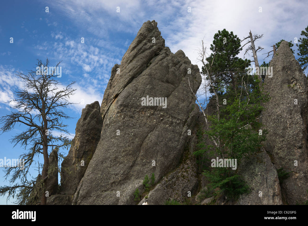 Black Hills nel South Dakota Stati Uniti d'America Needles Highway Custer State Park National Forest montagne panoramiche splendido paesaggio basso angolo orizzontale ad alta risoluzione Foto Stock