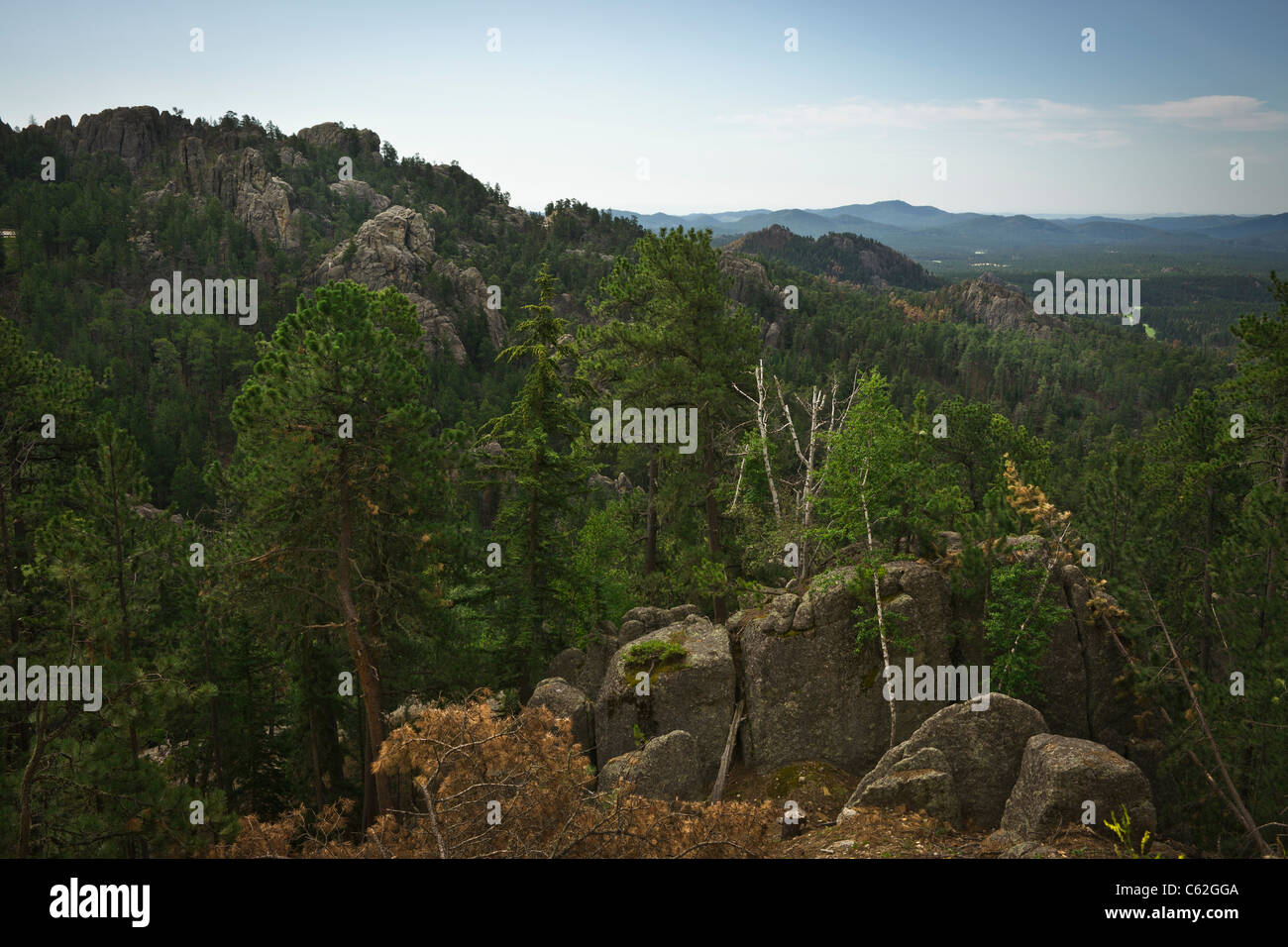 Black Hills nel South Dakota Stati Uniti d'America Needles Highway Custer State Park, foresta nazionale, montagne panoramiche, splendida vista dall'alto, alta risoluzione orizzontale Foto Stock