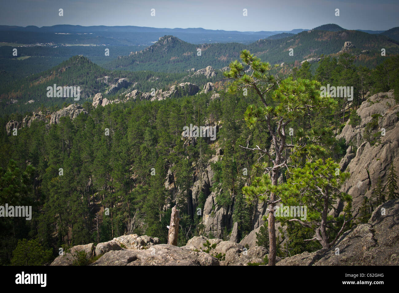 Le Black Hills danno il benvenuto al South Dakota SD Needles Highway Custer State Park National Forest in vendita su alamy orizzontale negli USA US ad alta risoluzione Foto Stock