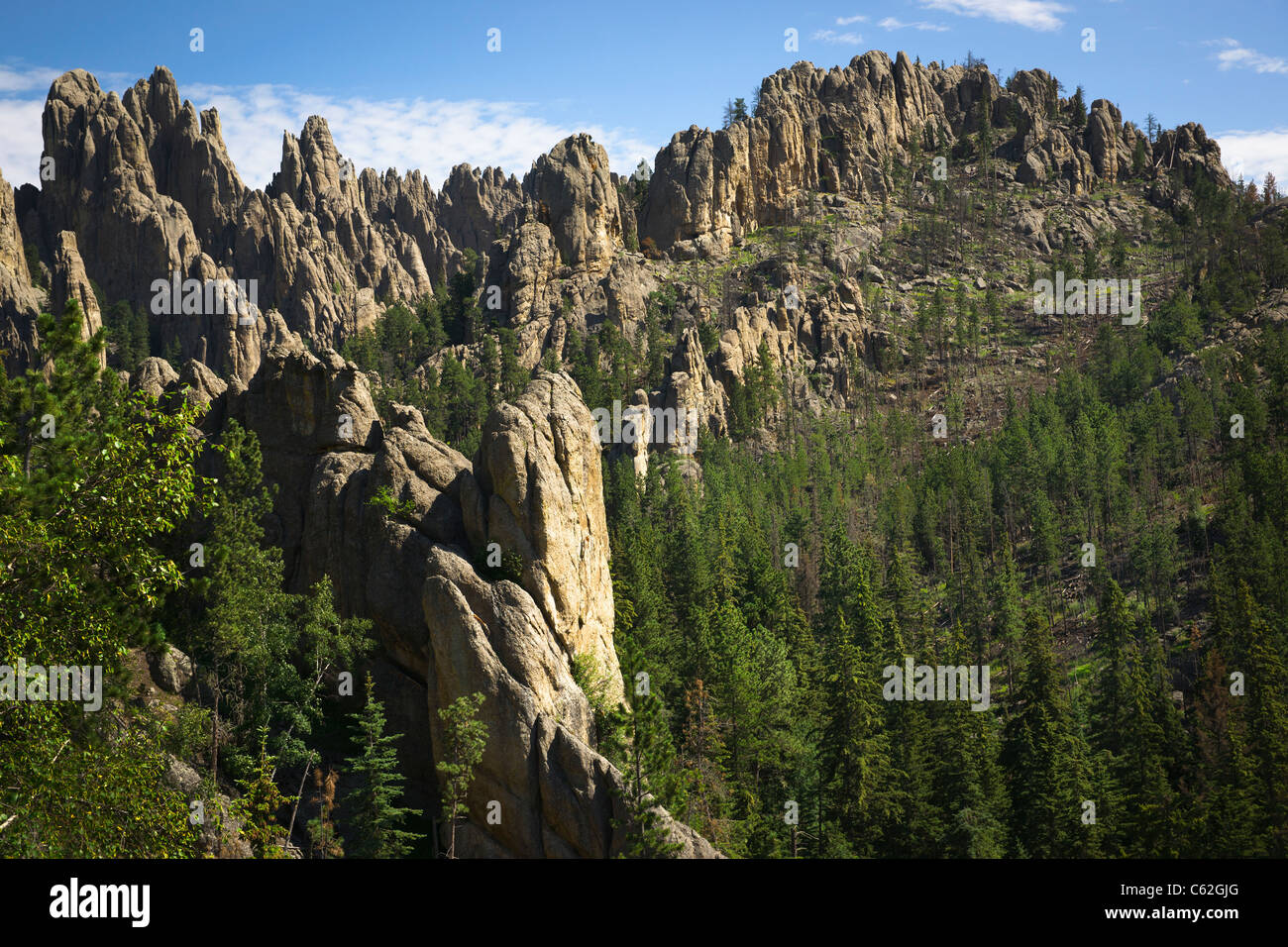 Black Hills nel South Dakota Stati Uniti d'America Needles Highway Custer State Park National Forest splendido paesaggio naturale, vista dall'alto, alta risoluzione orizzontale Foto Stock