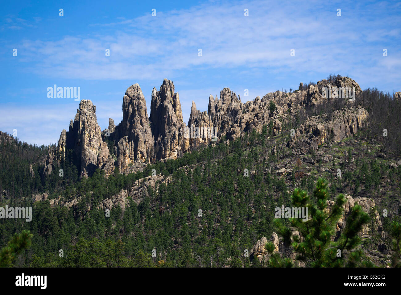 Black Hills nel South Dakota Stati Uniti d'America Needles Highway Custer State Park National Forest splendido paesaggio naturale dall'alto in alta risoluzione orizzontale Foto Stock