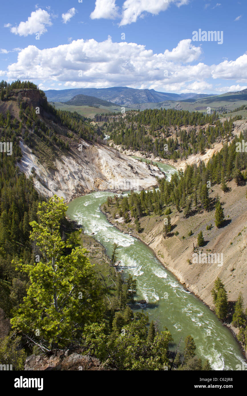 Vista del Yellowstone River in calcite springs, il Parco Nazionale di Yellowstone, WY Foto Stock