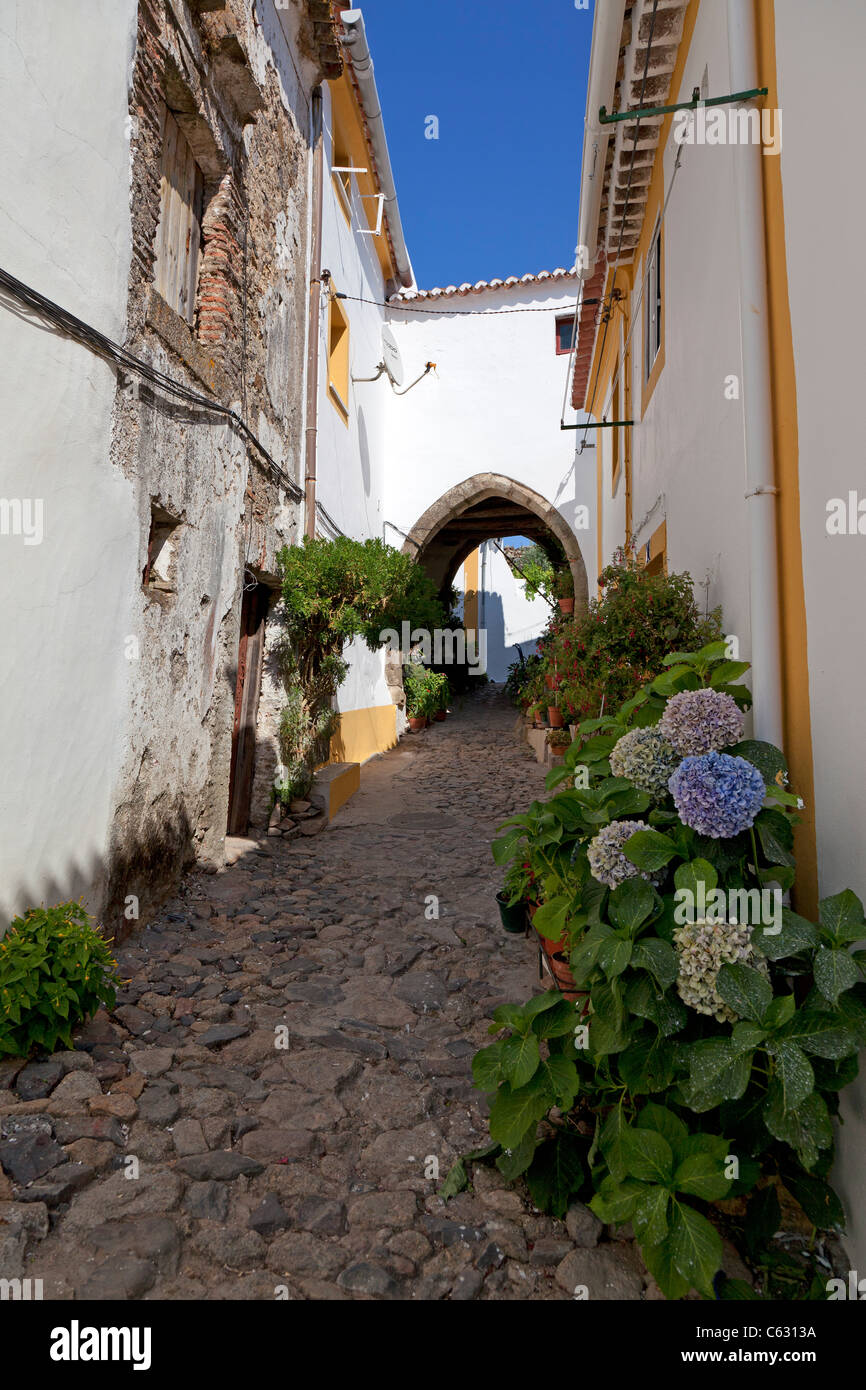 Xv secolo civica medioevale (Antigos Paços do Concelho) nel borgo medievale di Castelo de Vide, Alto Alentejo, Portogallo. Foto Stock