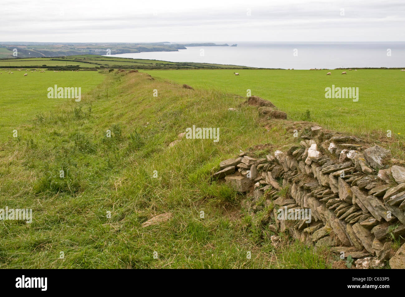 Guardando verso sud-ovest attraverso i terreni agricoli Delabole vicino alla costa di North Cornwall, con Port Isaac appena visibile in distanza Foto Stock