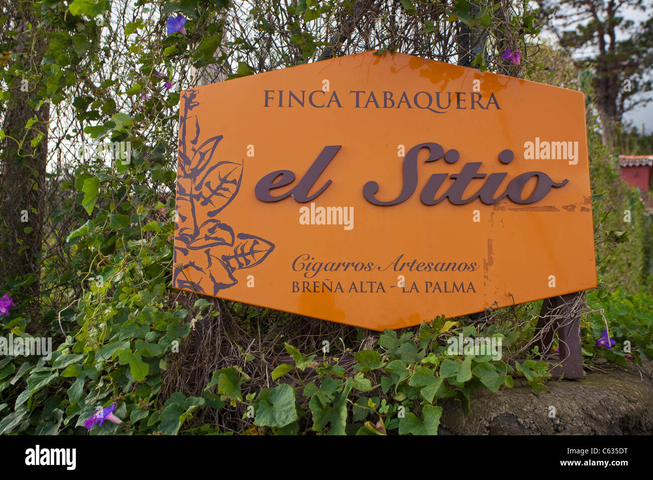 Firmare all'entrata del tabacco fabbricazione el sitio, Brena Alta, la palma isole canarie Spagna, Europa Foto Stock