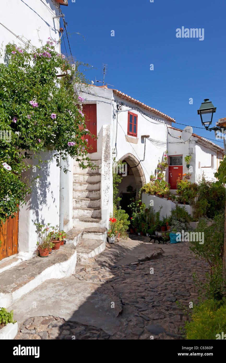 Xv secolo civica medioevale (Antigos Paços do Concelho) nel borgo medievale di Castelo de Vide, Alto Alentejo, Portogallo. Foto Stock