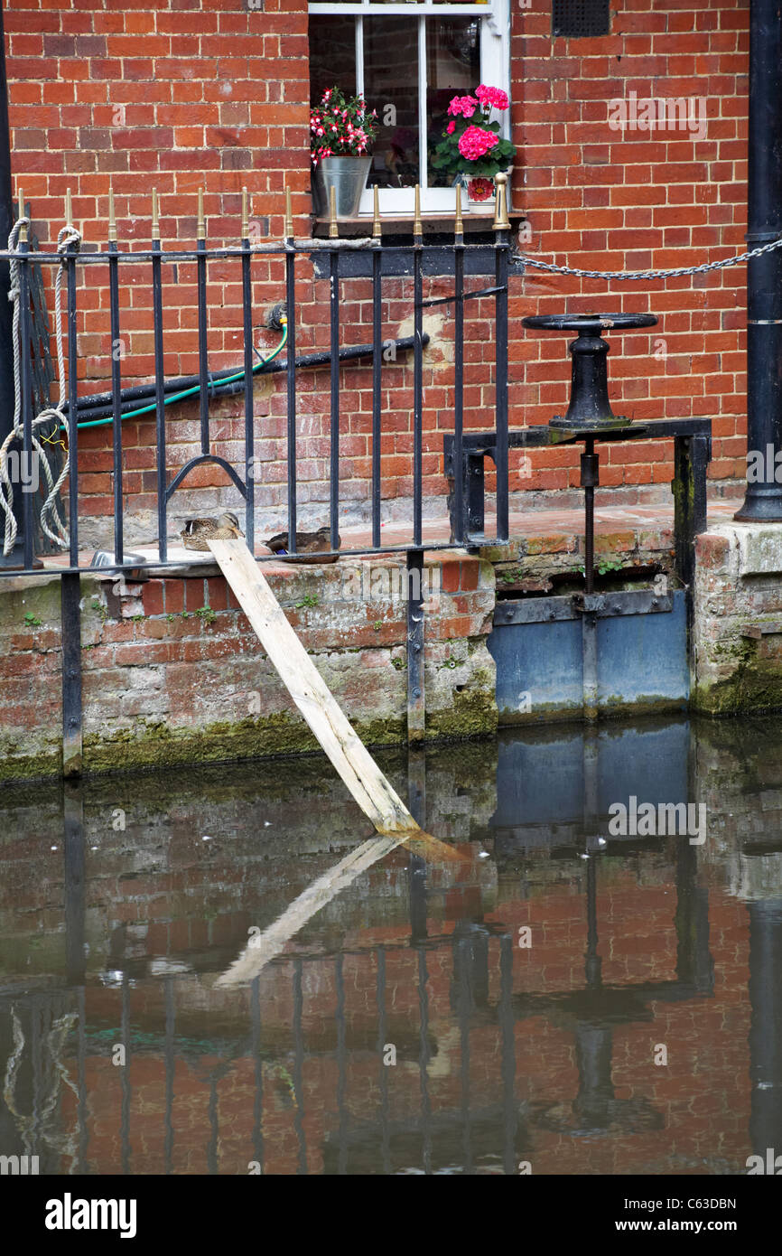 Sluice Gates, Sluice Gates, a Romsey, Hampshire, Regno Unito nel mese di agosto Foto Stock