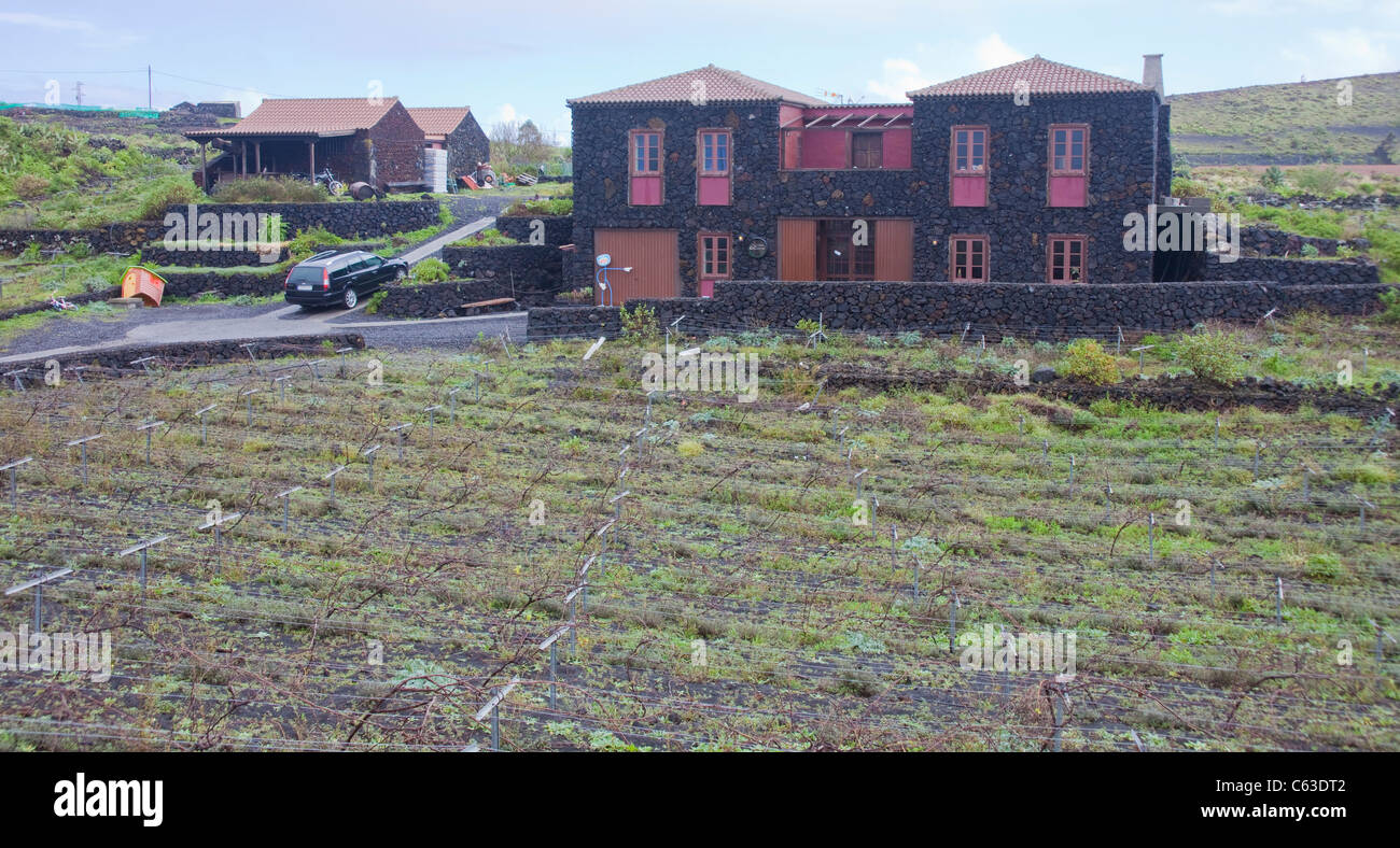 Bodega carballo vicino all entrata del vulcano di san antonio, fuencaliente, los canarios, la palma isole canarie Spagna, Europa Foto Stock