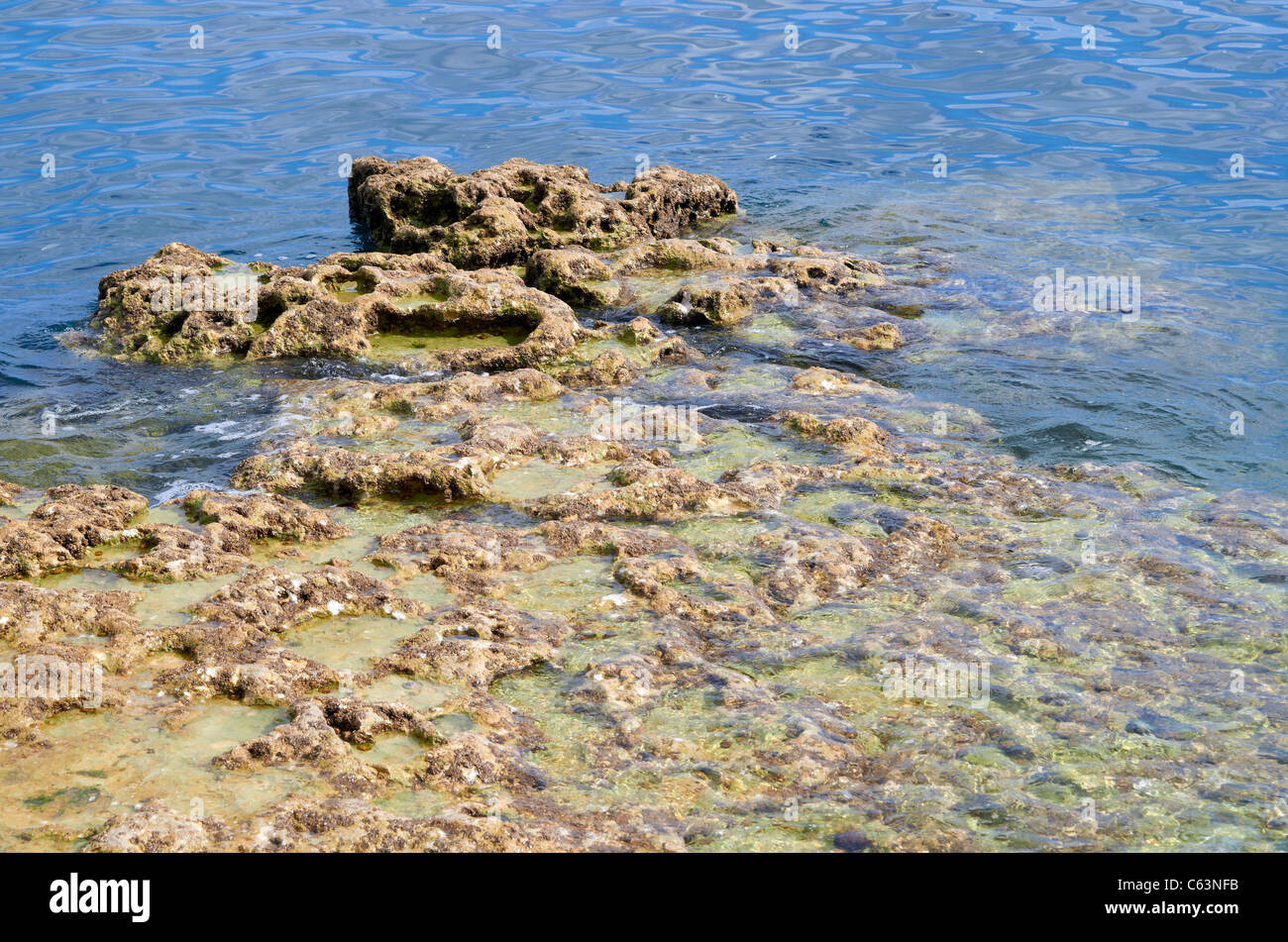 Gravemente eroso frangiflutti concrete all'estremità orientale della spiaggia di birra , Devon. Foto Stock