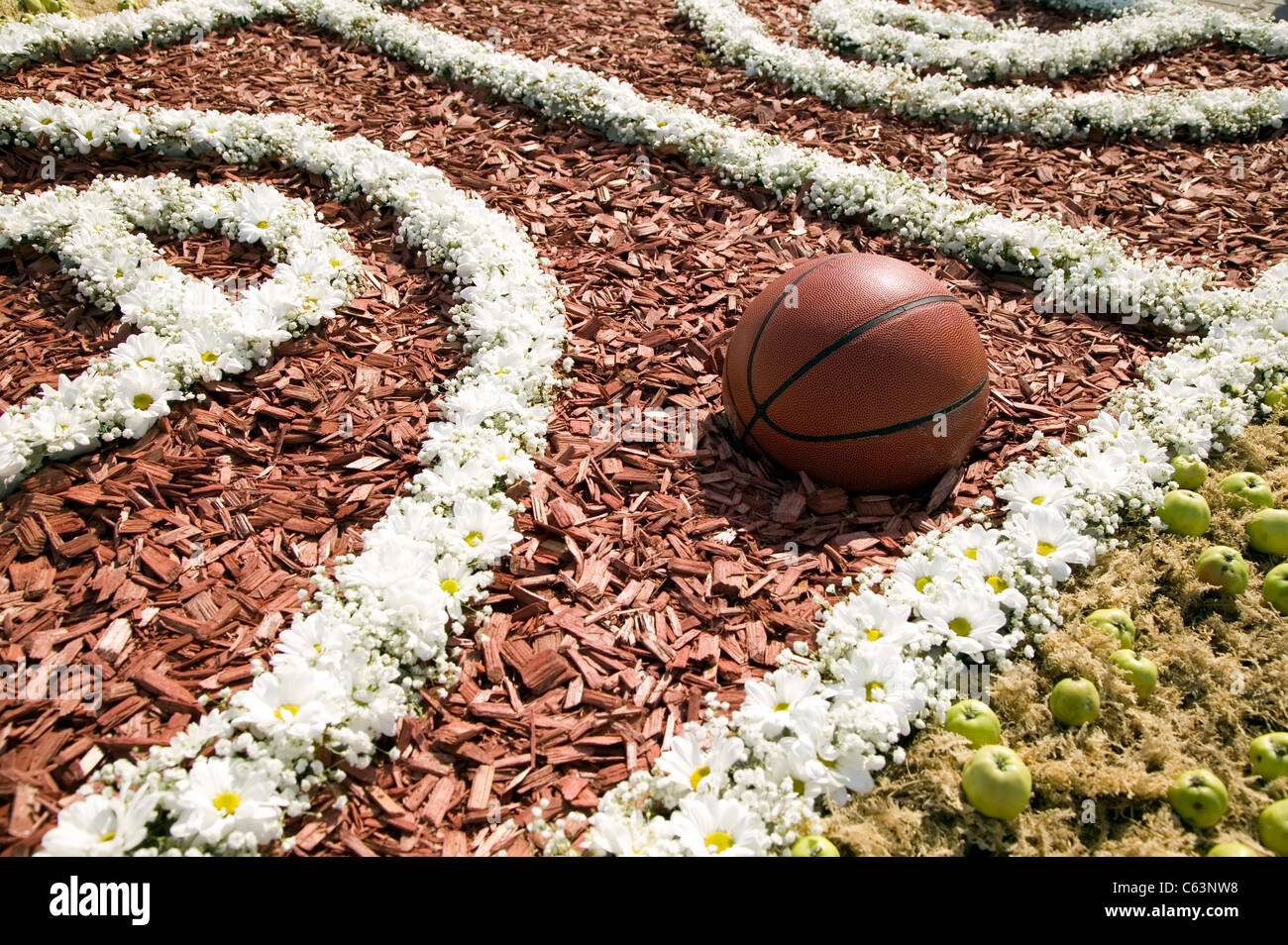 Il basket ball è collocato nel campo dei fiori che guarda come campo da gioco Foto Stock