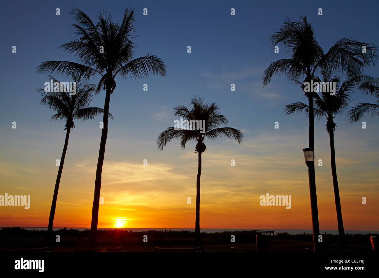 Alberi di palma e al tramonto, Mindil Beach, Darwin, Territorio del Nord, l'Australia Foto Stock