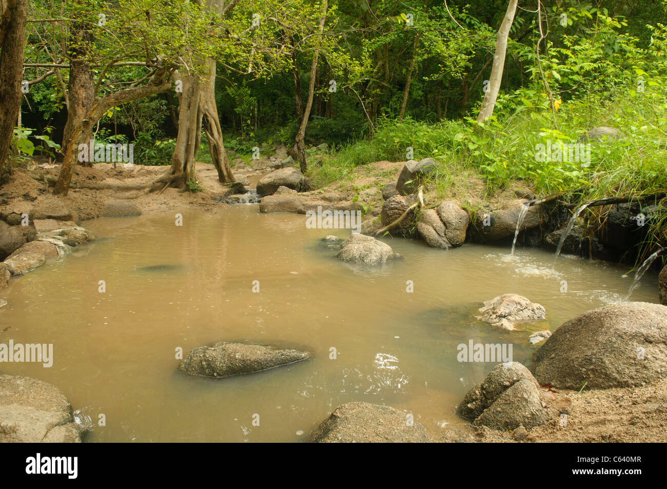 Minerali primavera calda piscina presso la Tha Pai Hot Springs Park in Pai, Thailandia Foto Stock