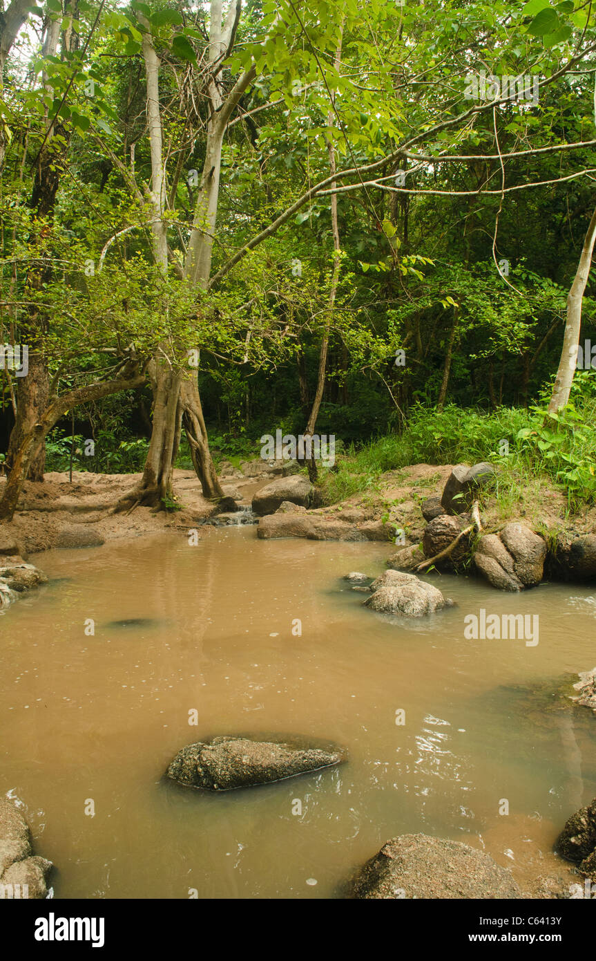 Minerali primavera calda piscina presso la Tha Pai Hot Springs Park in Pai, Thailandia Foto Stock